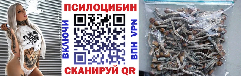 Псилоцибиновые грибы прущие грибы  Катав-Ивановск 